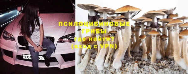 соль ск Мегион